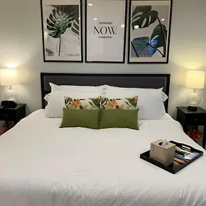 Zen Oasis Tampa